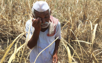 farmers situation in india truthful short story ,