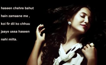 ग़ालिब की ग़ज़ल और जश्न ए मीर तक़ी मीर love shayari ,